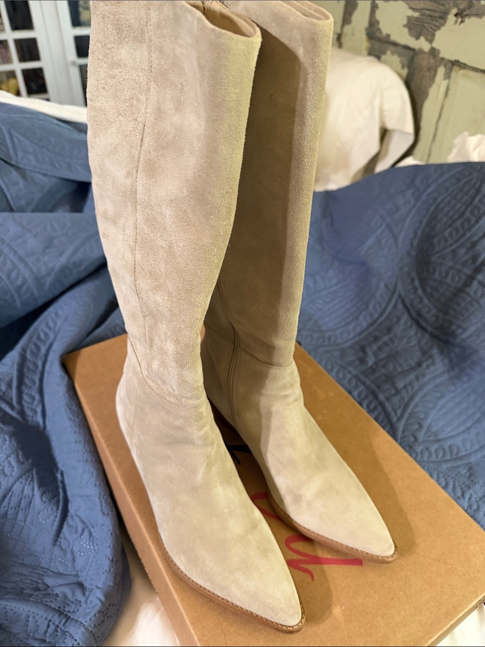 Matisse Oat Suede Knee Pointed-Toe Suede Boots